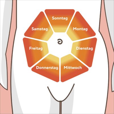 Die Illustration zeigt einen gezeichneten Körper. Auf dem Bauch sind die Wochentage notiert: Oben, auf 12 Uhr, ist Sonntag, dann im Uhrzeigersinn die weiteren Wochentage, immer etwas entfernt vom Bauchnabel.