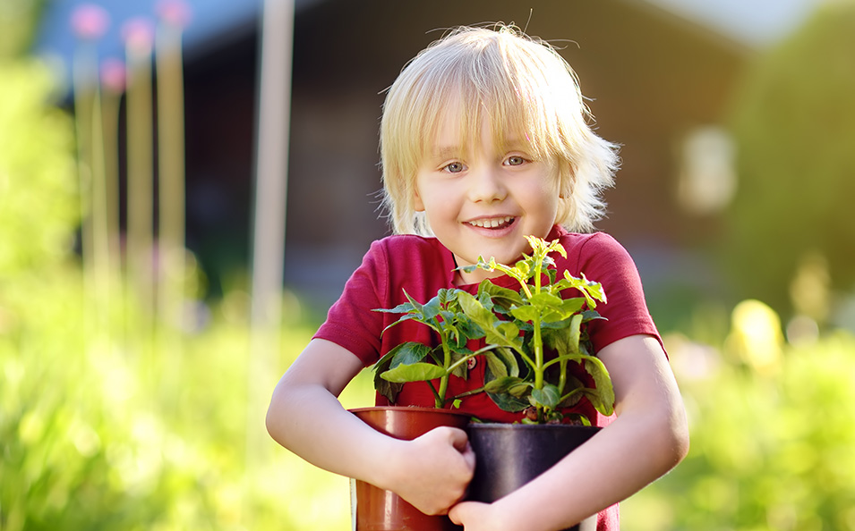 Was hat mich da gestochen? Kleiner Insektenstich-Guide.