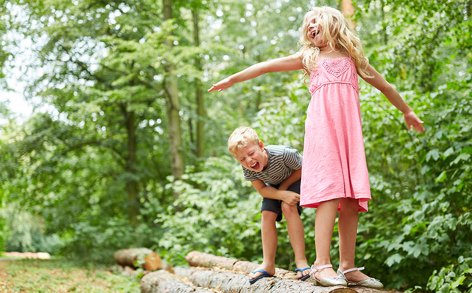 Zecken: die Gefahren der kleinen Blutsauger Zecken: die Gefahren der kleinen Blutsauger