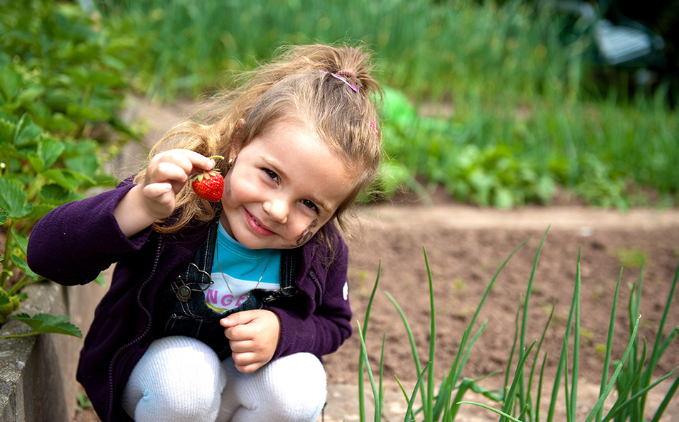 Kinderbeet: So werden Kids zu kleinen Gärtnern.