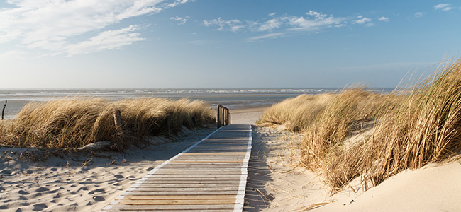 Mit dem Rolli am Strand